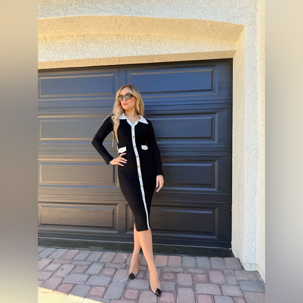 227 ‘Alex’ Elegant Black and White Button-Down Dress - Picture 9 of 9